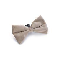 Beeztees DBL Köpek Papyonu, Kadife, Gri, 12cm