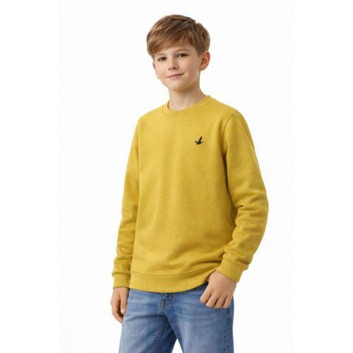 Erkek Çocuk Sweatshirt BGL-ST05228
