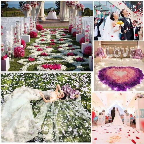 Nessiworld Beyaz Renk Gül Yaprağı Şekilli Konfeti 5 Paket 500 Adet