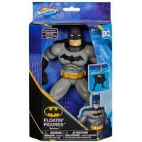 Batman Yüzme Arkadaşları - 6067008
