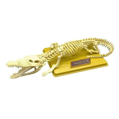 Eğitici Oyuncak Timsah İskeleti Bilim Seti