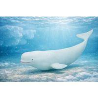 Deniz Hayvanları Serisi - Beyaz Balina 30 cm