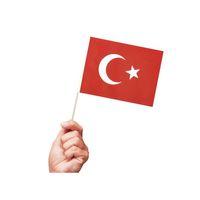 KIKA BAYRAK ÇITALI  40'LI BATTAL