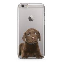 Apple iPhone 6 Plus - 6S Plus Kılıf Yavru Labrador Arka Kapak Koruma Desenli Full Koruyucu