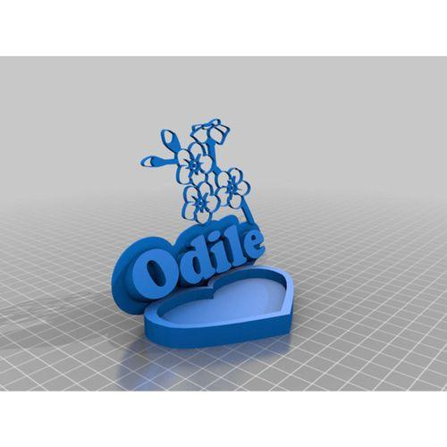 Kişisel Vide Poche Odile (Bu ürün Sadece Plastik parçadır - Almadan Önce Soru Sorabilirsiniz)