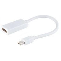 ZR138 Mini Dp Hdmı Çevirici Kablo 30 Cm