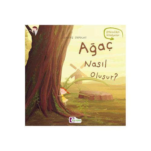 Ağaç Nasıl Oluşur - Oluşum Hikâyeleri - Okul Öncesi Kitabı