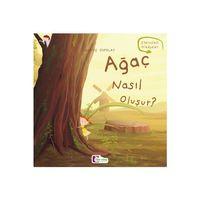 Ağaç Nasıl Oluşur - Oluşum Hikâyeleri - Okul Öncesi Kitabı