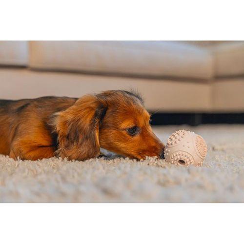 Beeztees Yavru Köpek Oyuncağı, Diş Kaşıma ve Masaj Topu, Kauçuk, Pembe, 5cm