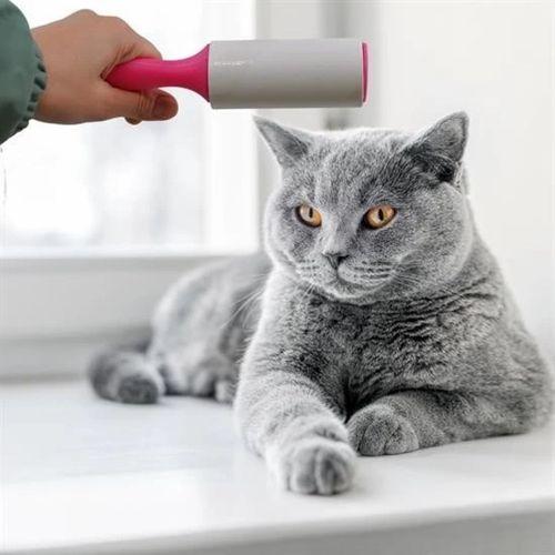 Pratik Tüy Alma Ve Temizleme Tüy Toplama Makinesi Rulo Aparat