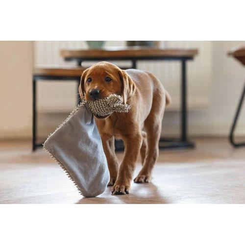 Beeztees Yavru Köpek Oyuncağı, Peluş, Gri, 37x28x4cm
