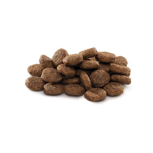 Brit Premium By Nature Büyük Irk Genç Köpekler İçin, Tavuk Etli Kuru Mama 15 kg