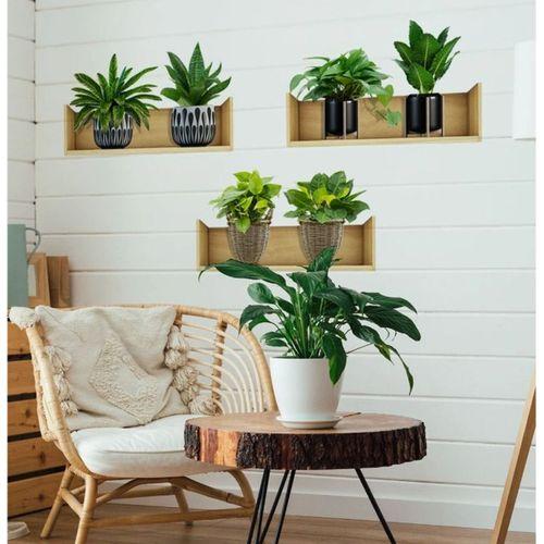 Eğitici Oyuncak Raflı Bitki Tasarımlı Yapışkanlı Sticker 20*30 cm 3lü Set MC-663