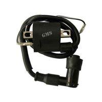 ATV Atv Bobin Ateşleme Lx200