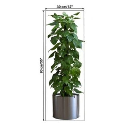 Eğitici Oyuncak Saksılı Bitki Tasarımlı Yapışkanlı Sticker Resim 90*30 cm MC-665