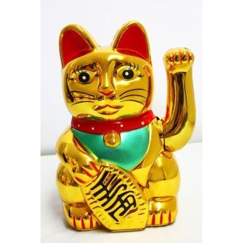 Şanslı Kedi