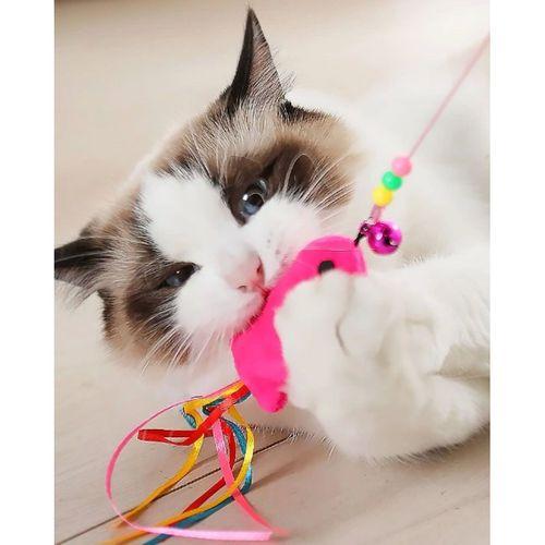 Eğitici Oyuncak Balıklı Kedi Oyun Oltası 90 Cm