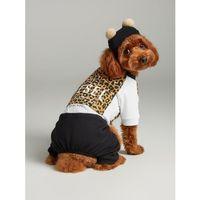 Leo Paw Köpek Tulumu & Bere Takımı | Penye Kumaş | Küçük Irk Köpekler İçin | Tüy Dökülmesini Azaltır