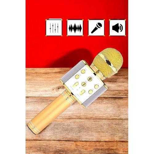 Şarjlı Ve Uzun Pil Ömürlü Karaoke Mikrofon Usb Bellek Destekli, Profesyonel Ses