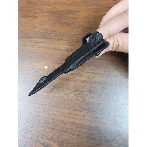 SR-71C Blackbird Trainer-5138956