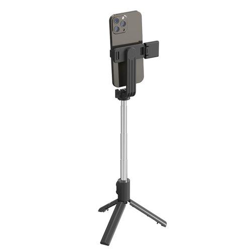 Lenyes LPH101 Canlı Yayın Dolgu Işıklı Tripod ve Selfie Çubuğu