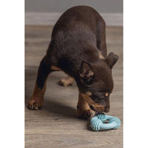 Beeztees Yavru Köpek Diş Oyuncağı, İçi Dolu Halka, Kauçuk, Yeşil, 8cm