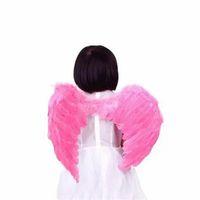 Pembe Melek Kanatları Küçük