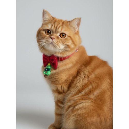 Christmas Tree Yılbaşı Kedi Papyon Tasması | Kırmızı Fiyonk Boyun Aksesuarı | Noel Temalı Kedi Süsü