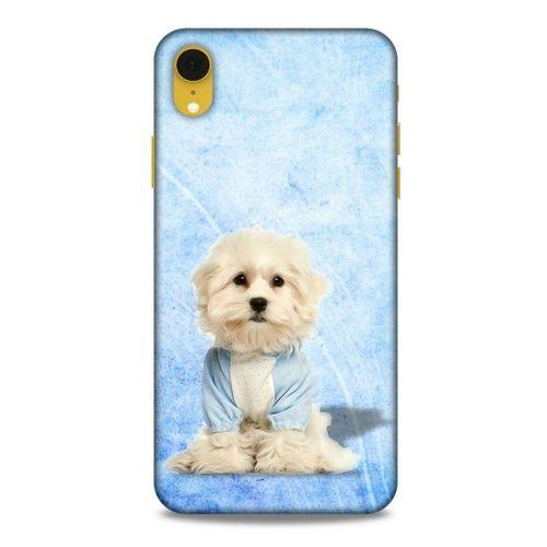 Apple iPhone XR Kılıf Köpek Kıyafetleri (20) Koruyucu Kılıf Maltese Pijama