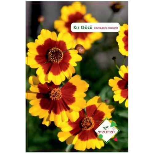 Kız Gözü Çiçeği Tohumu 100 Adet