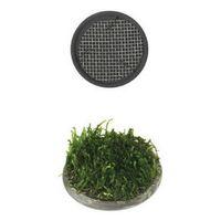 Ista Bitki Taban Seramik 5 cm Yuvarlak