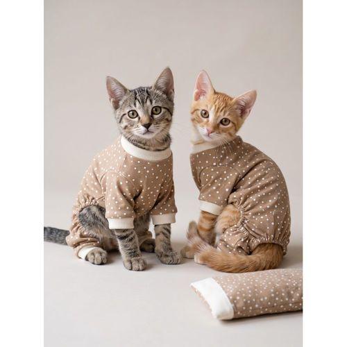 Latte Sprinkles Kedi Uyku Seti | Penye Kedi Tulum ve Mini Yastık Takımı | Pamuklu | Tüy Dökülmesini Azaltır |