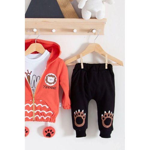 Aslan Desenli 3'lü Erkek Bebek Takımı