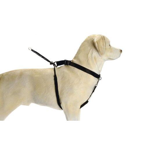 Beeztees Köpek Yürüyüş Eğitim ve Düzeltme Tasması, XL