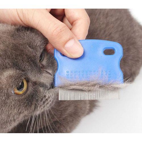 Eğitici Oyuncak Kedi Köpek Bit ve Pire Tarağı
