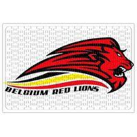 Pourquoi Les Red Lions Puzzle 240 Parça Yapboz