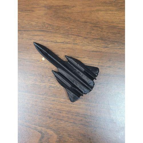 SR-71C Blackbird Trainer-5138956