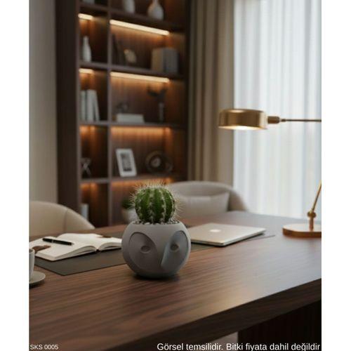 Gri Baykuş Figürlü Mini Dekoratif Saksı 6 Cm Masaüstü Ofis Dekoru