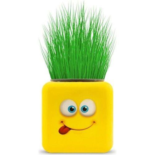 EVOSED Çimoji 4 Figürlü Emoji Küp Çim Adam