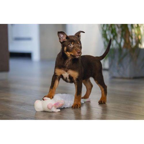 Beeztees Yavru Köpek Oyuncağı, Unicorn, Peluş, Beyaz, 49x10x14cm