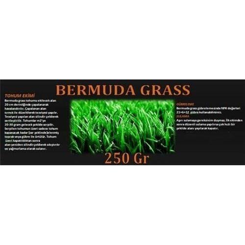 Bermuda Çimi (Ayrık Otu)Tohumu 250 gr
