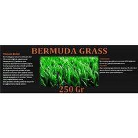 Bermuda Çimi (Ayrık Otu)Tohumu 250 gr