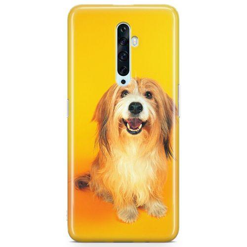 Oppo Reno2 Z 2019 Kılıf Collie Arka Kapak Koruma Desenli Full Koruyucu