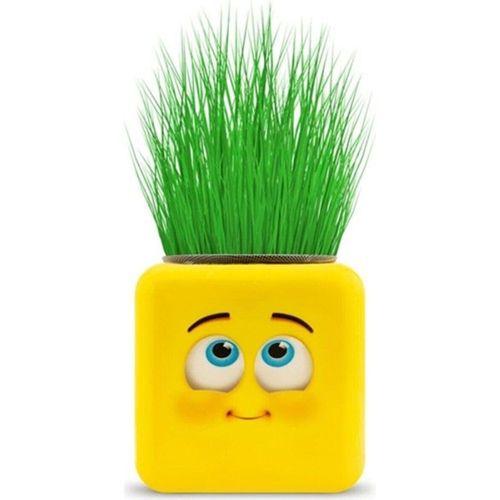 EVOSED Çimoji 4 Figürlü Emoji Küp Çim Adam