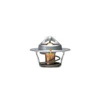 R11 Flash Termostat (89°) 7700872314
