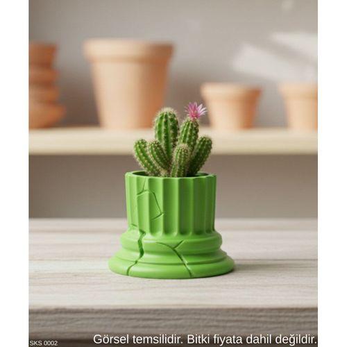 Yesil Klasik Sutun Form Mini Dekoratif Saksi 7 Cm Masa Ustu Ofis Dekoru