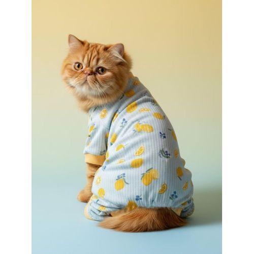 Summer Pineapple Penye Kedi Tulumu | Ananas Desenli Kedi Pijaması | Kediler İçin