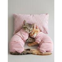 Minimini Kapler Kedi Uyku Seti | Penye Kedi Tulum ve Mini Yastık Takımı | Pamuklu | Tüy Dökülmesini Azaltır |