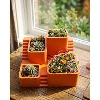 3d Kaktüs Saksı Seti Çok Bölmeli Modern Dekoratif Masaüstü Bitki Standı