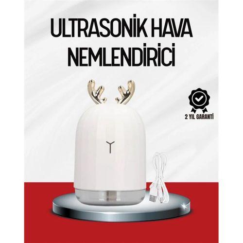 El Tipi Usb Mini Soğuk Mist Nemlendirici 220 ml Tank